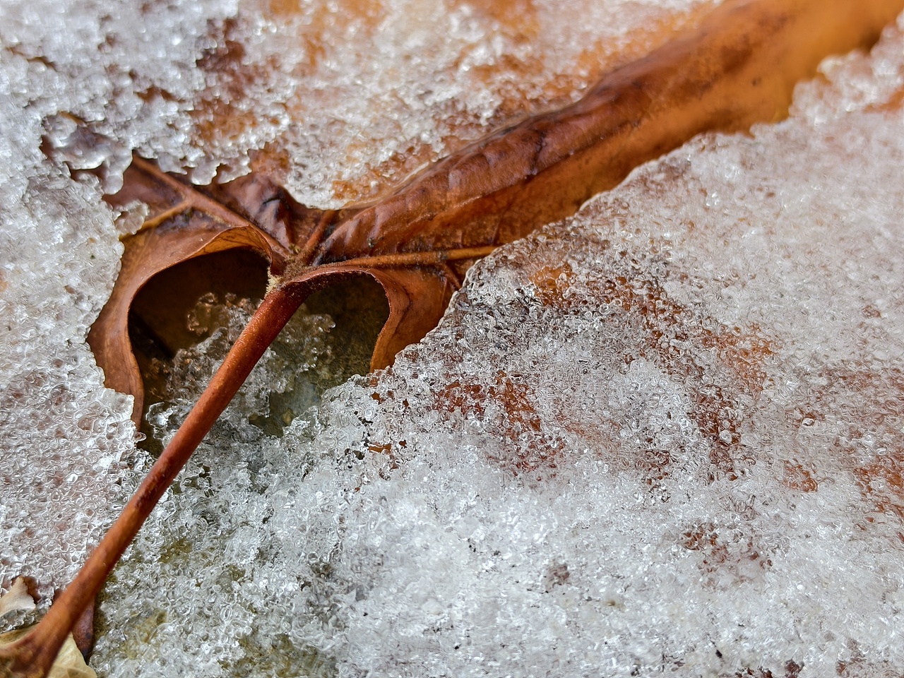 学校生活（图ZNDA1NjkwNjg0） - 风光摄影 - 站酷设计师微醺柚茶原创素材 - 站酷ZCOOL