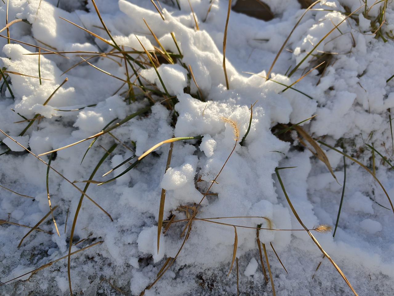 学校生活（图ZNDA1NjkwNjg4） - 风光摄影 - 站酷设计师微醺柚茶原创素材 - 站酷ZCOOL