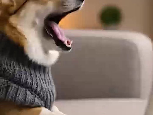 广告类创意剪辑