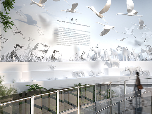 自然博物馆 展厅设计