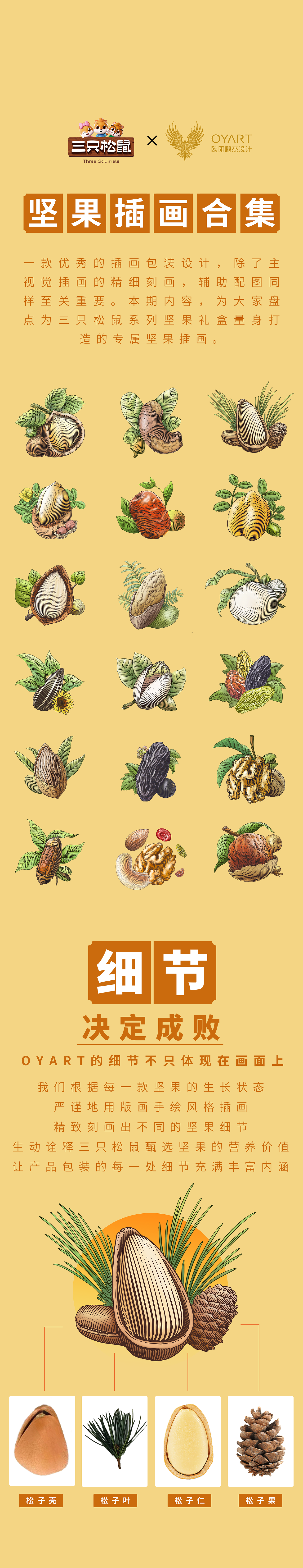 三只松鼠坚果插画合集（图ZNDA1NzEwMTY4） - 商业插画 - 站酷设计师欧阳鹏杰_OY原创素材 - 站酷ZCOOL