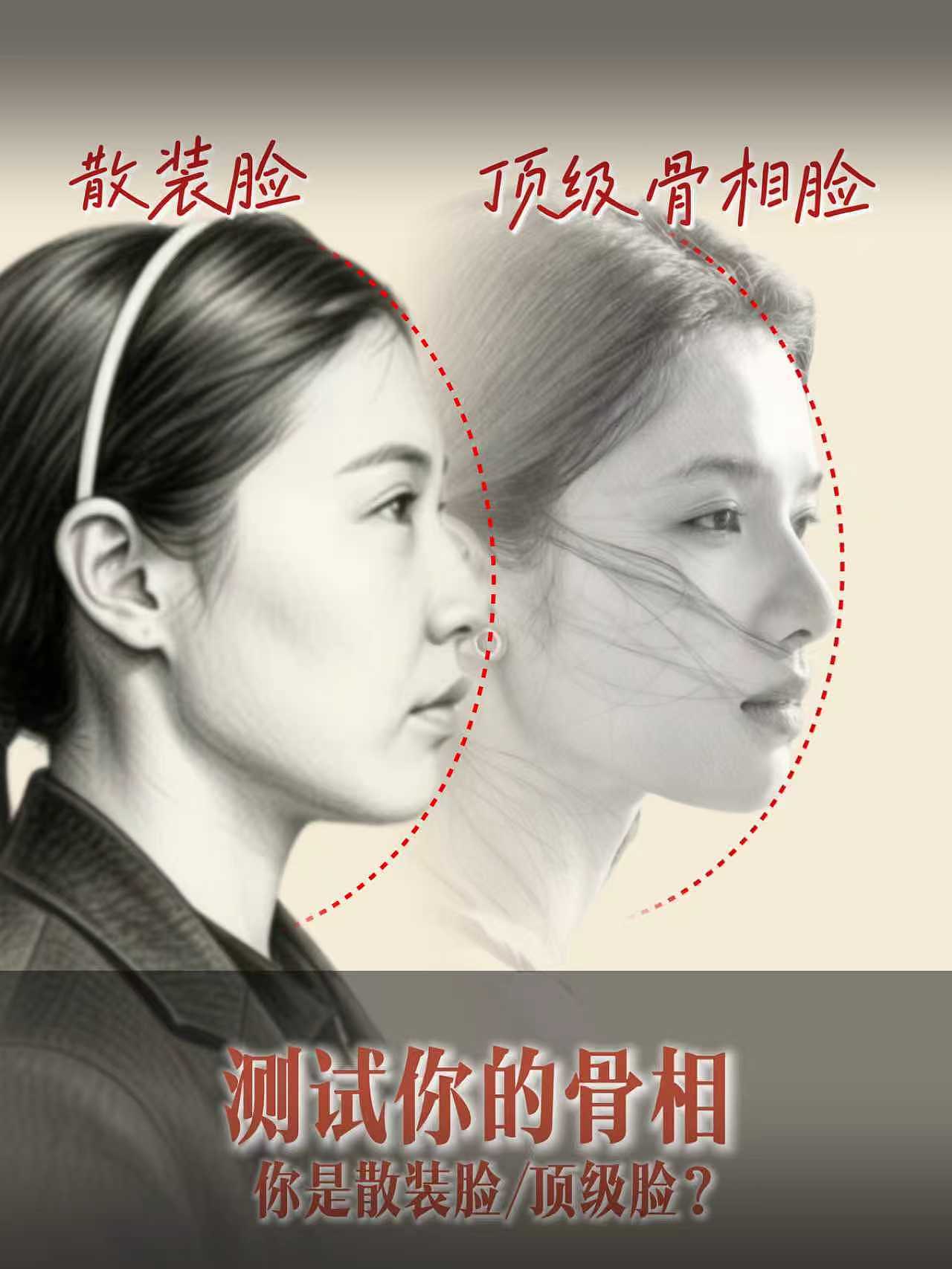 面部美学（图ZNDA1NzIzNjQ0） - 绘画 - 站酷设计师Hahaaaa哈原创素材 - 站酷ZCOOL