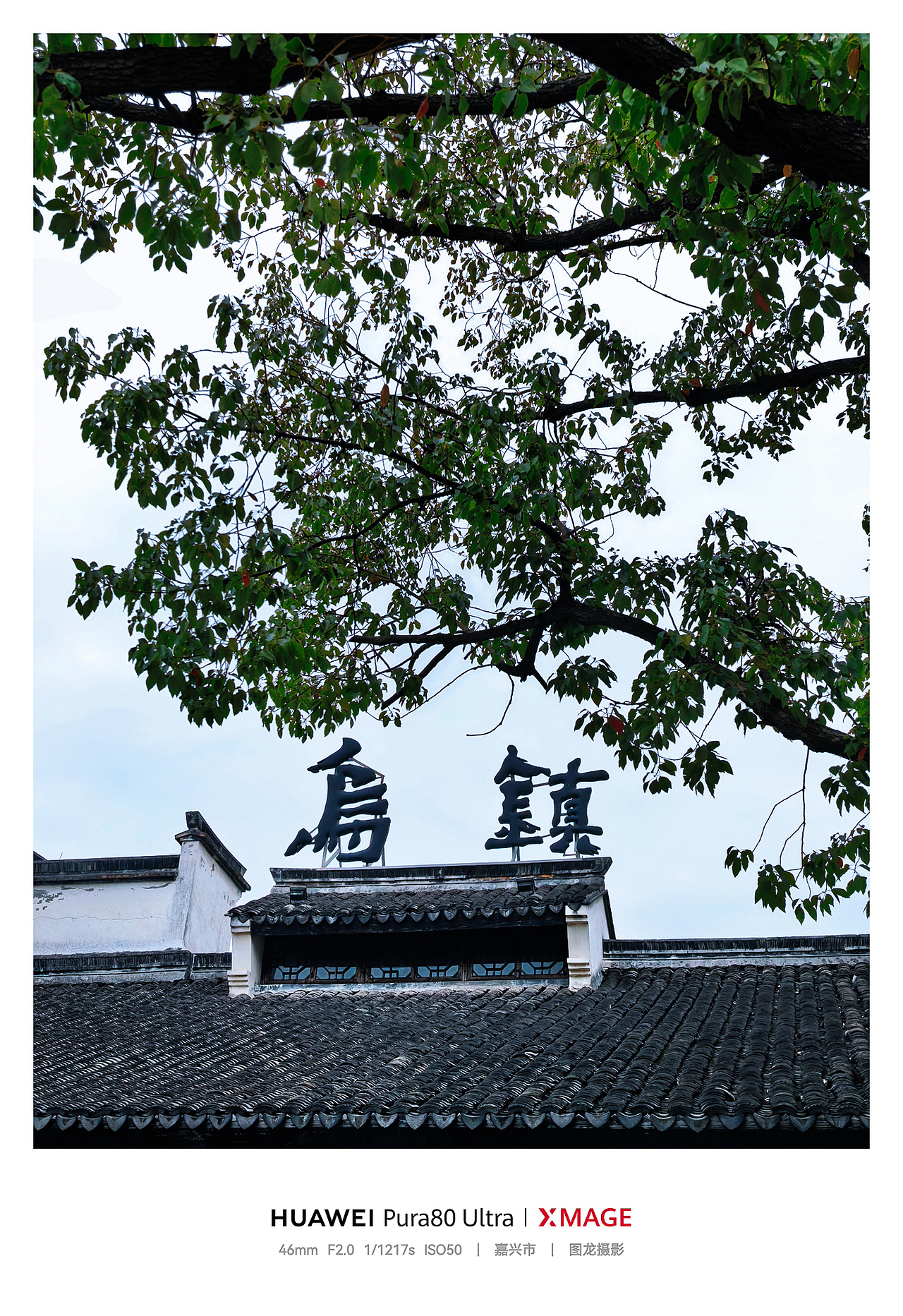 不寻景，只沉醉！乌镇如何晕染成水墨诗画（图ZNDA1NzQ5MDUy） - 风光摄影 - 站酷设计师图龙摄影原创素材 - 站酷ZCOOL