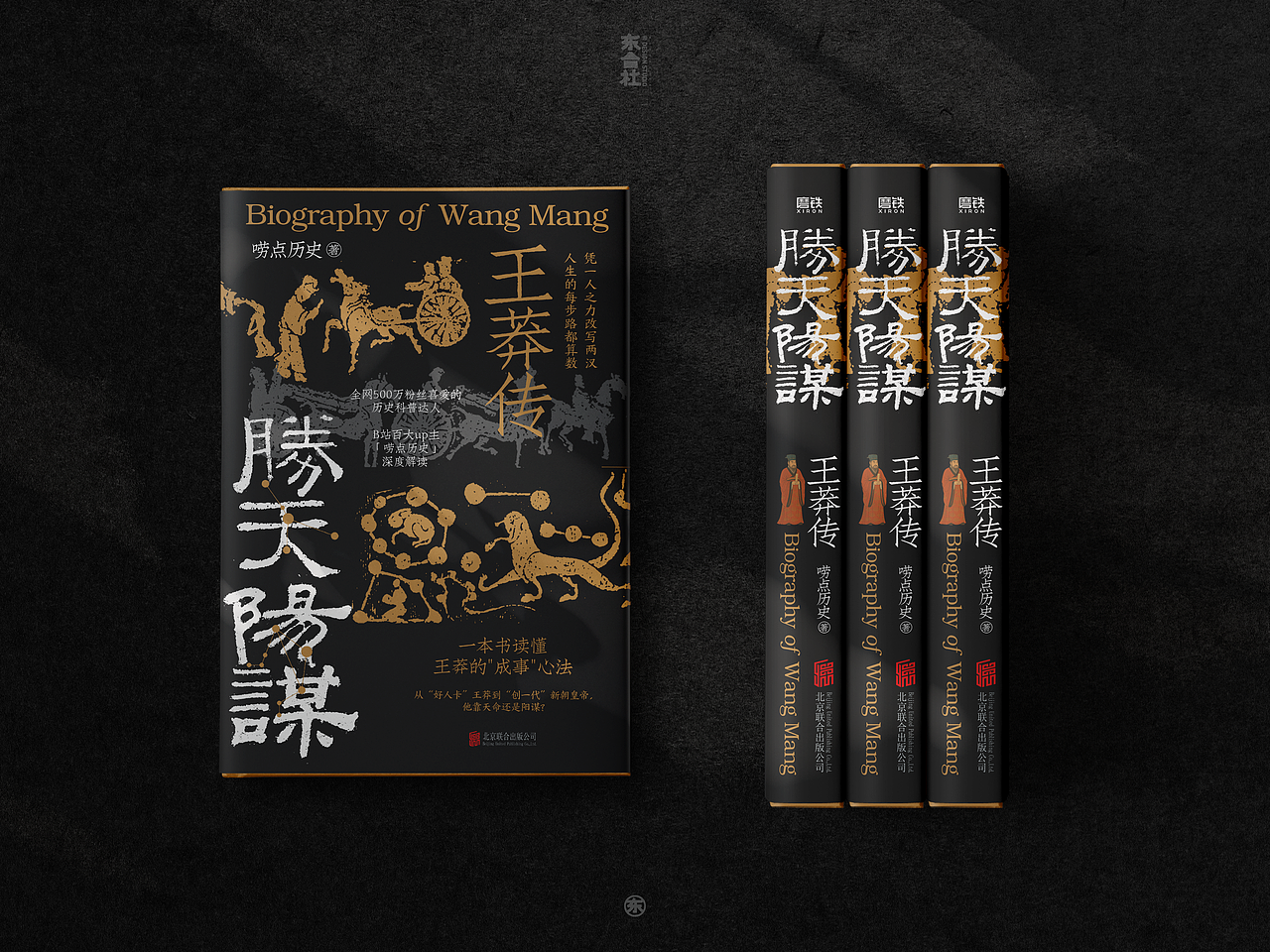 书籍封面设计 | 2025年度整理(图ZNDA1NzYxNjg0) - 书籍/画册 - 站酷设计师安宁aiden原创素材 - 站酷ZCOOL