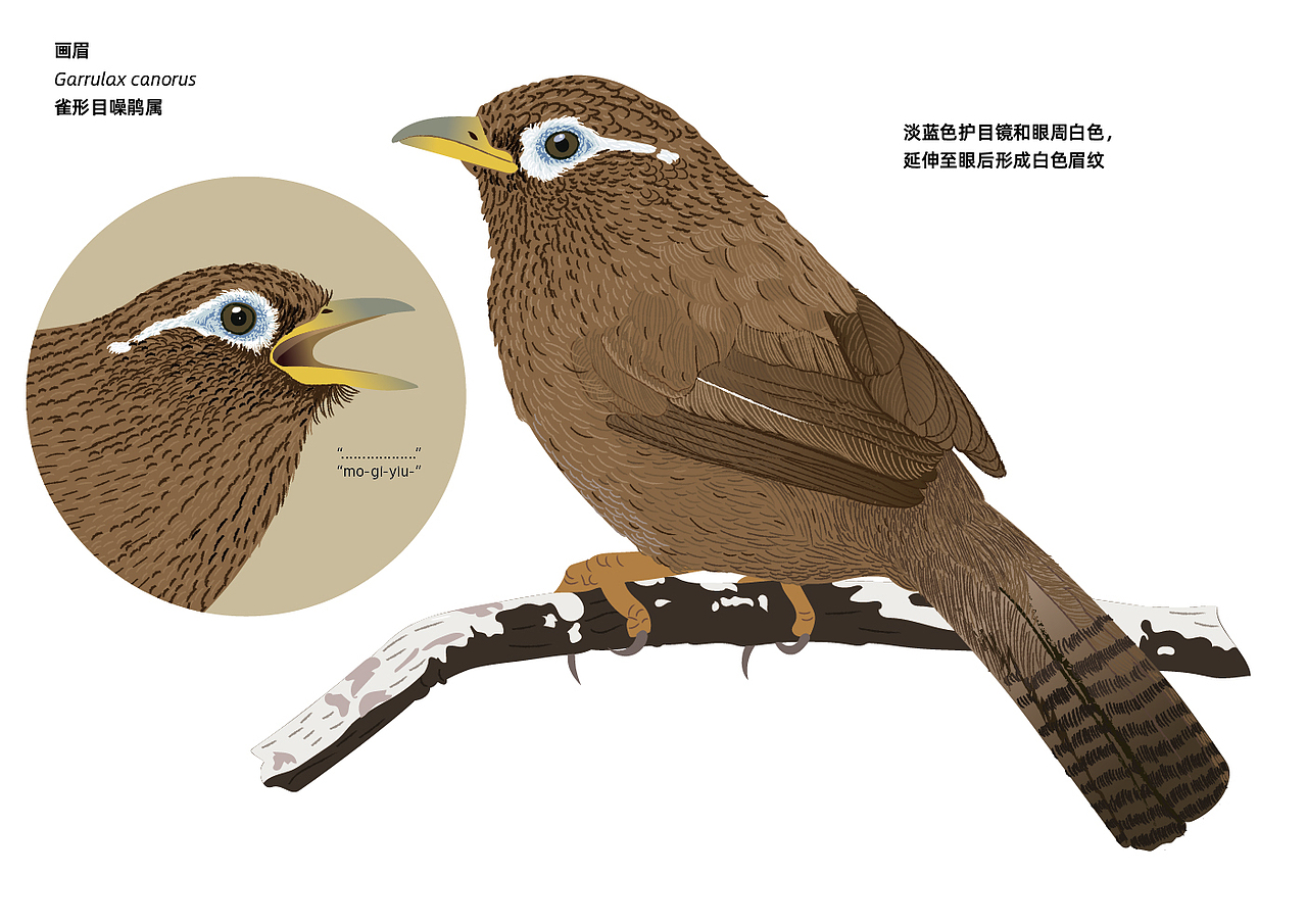 广东省深圳市梧桐山国家森林公园导视及科普解说牌设计（图ZNDA1NzY4OTI0） - 宣传物料 - 站酷设计师进退设计原创素材 - 站酷ZCOOL