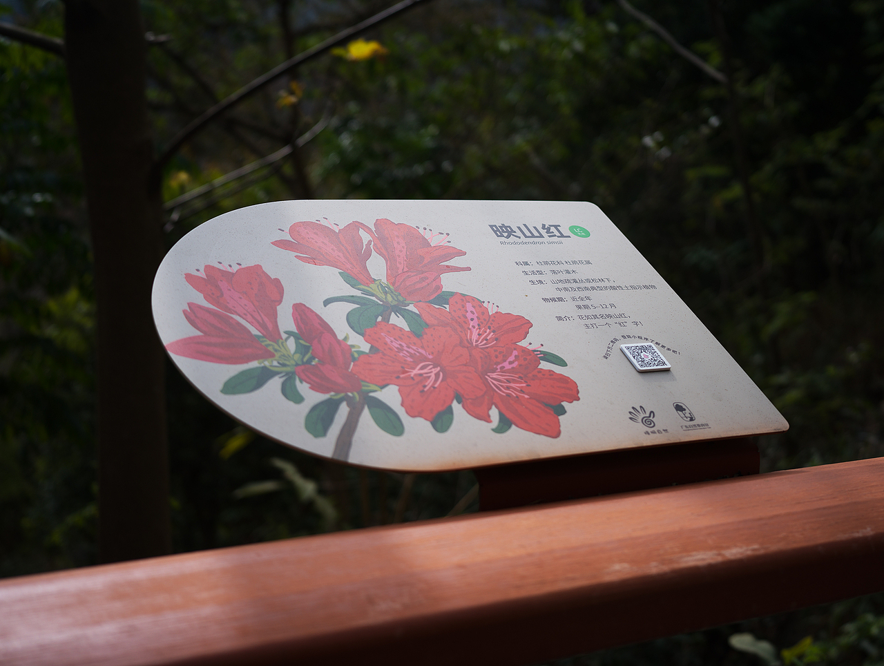 广东省深圳市梧桐山国家森林公园导视及科普解说牌设计（图ZNDA1NzcwMzE2） - 宣传物料 - 站酷设计师进退设计原创素材 - 站酷ZCOOL
