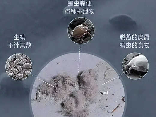 除螨仪值不值得买？什么牌子的除螨仪好？人气可靠的除螨仪排行榜前十名，家居清洁神器