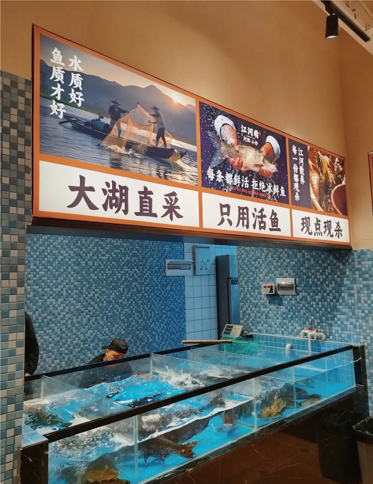 江河肴×中世锐意设计 / 活鱼每天捞 吃鱼江河肴（图ZNDA1Nzc2MTAw） - 品牌 - 站酷设计师中世锐意阿呆总原创素材 - 站酷ZCOOL