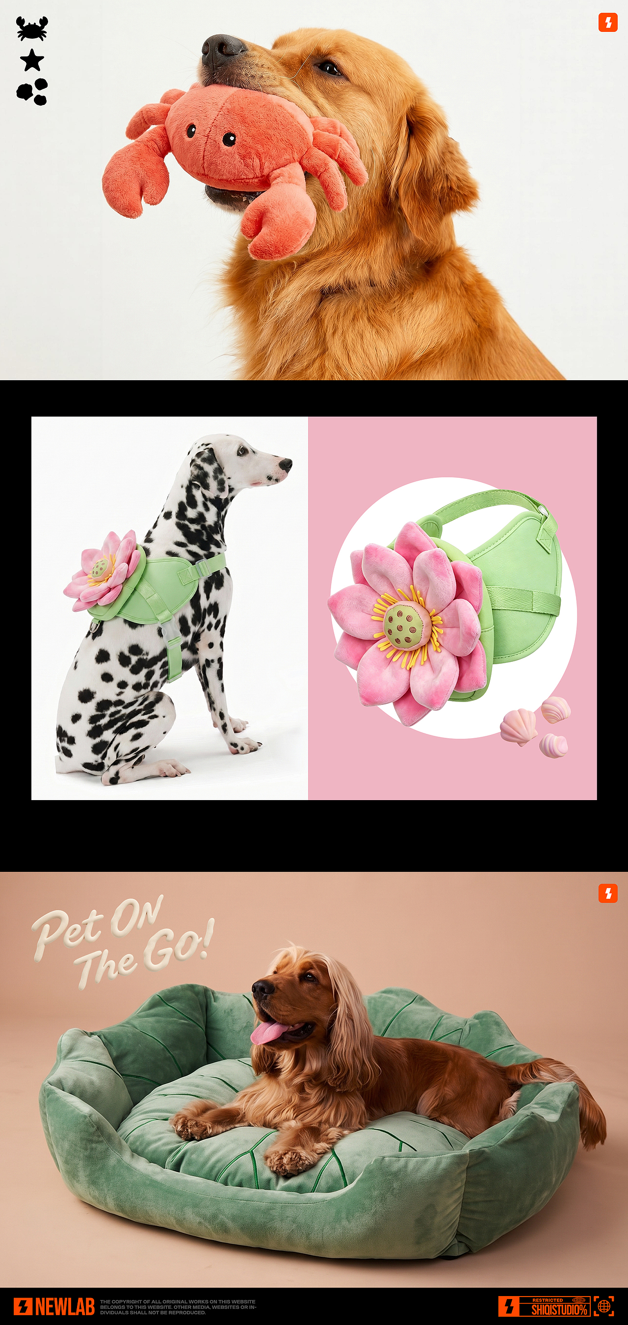 毛孩子出逃计划丨品牌活动全案（图ZNDA1Nzk1Mjcy） - 品牌 - 站酷设计师加一颗奶球ovo原创素材 - 站酷ZCOOL