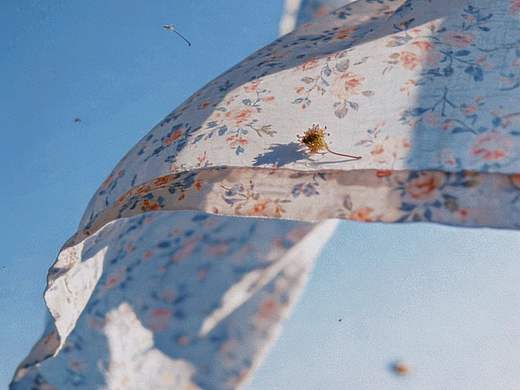 21（个人主页-ZNzM0ODY4ODQ=） - 时尚/艺术摄影 - 站酷设计师张我原创素材 - 站酷ZCOOL