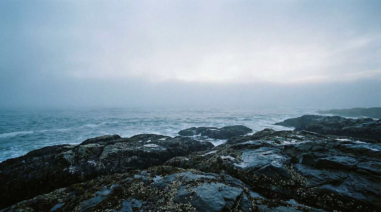 【AIGC】鲲起山海间 离谱的大8 TVC（图ZNDA1Nzk0NDY0） - AI作品 - 站酷设计师jiankate原创素材 - 站酷ZCOOL