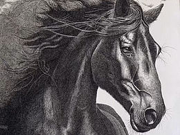 钢笔画《骜》教程