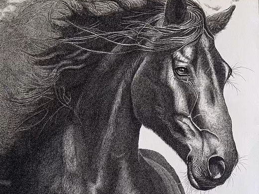 钢笔画《骜》教程