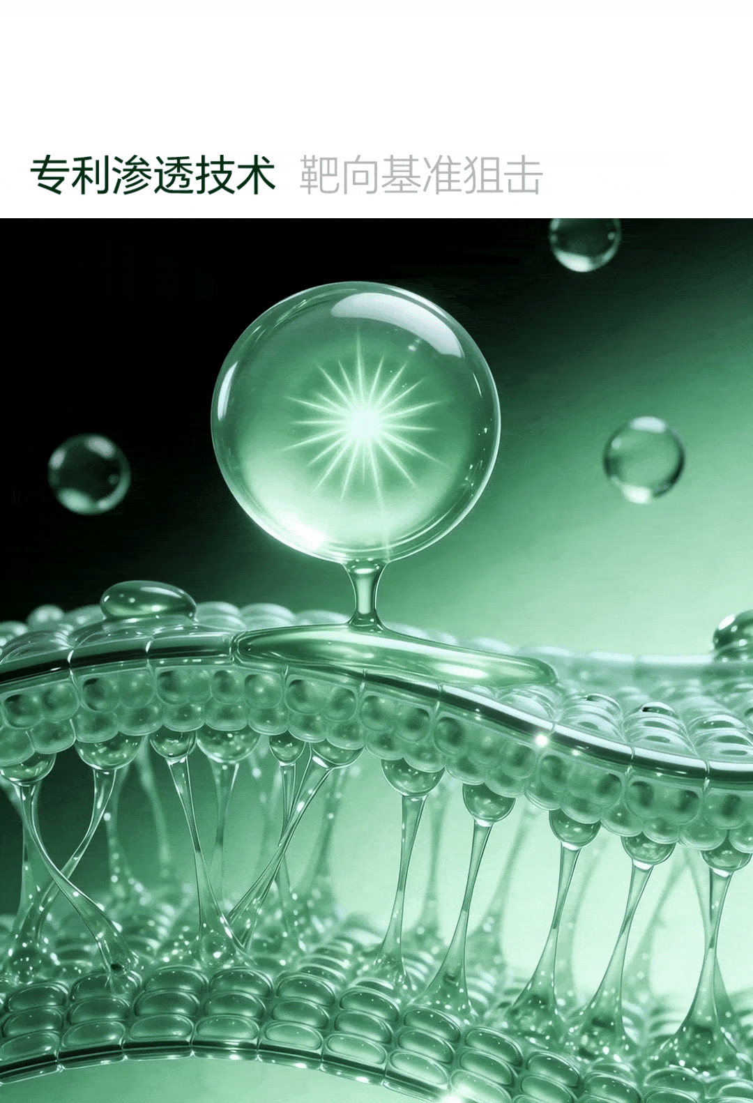 護膚品牌視覺×Intoskin（圖ZNDA1ODExNjI4） - 電商 - 站酷設計師見南山_JNS原創(chuàng)素材 - 站酷ZCOOL