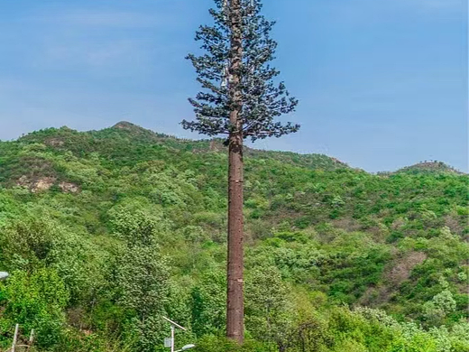 2026年3月市面上正规的投光灯塔公司推荐，升降投光灯塔/照明灯塔/投光灯塔，投