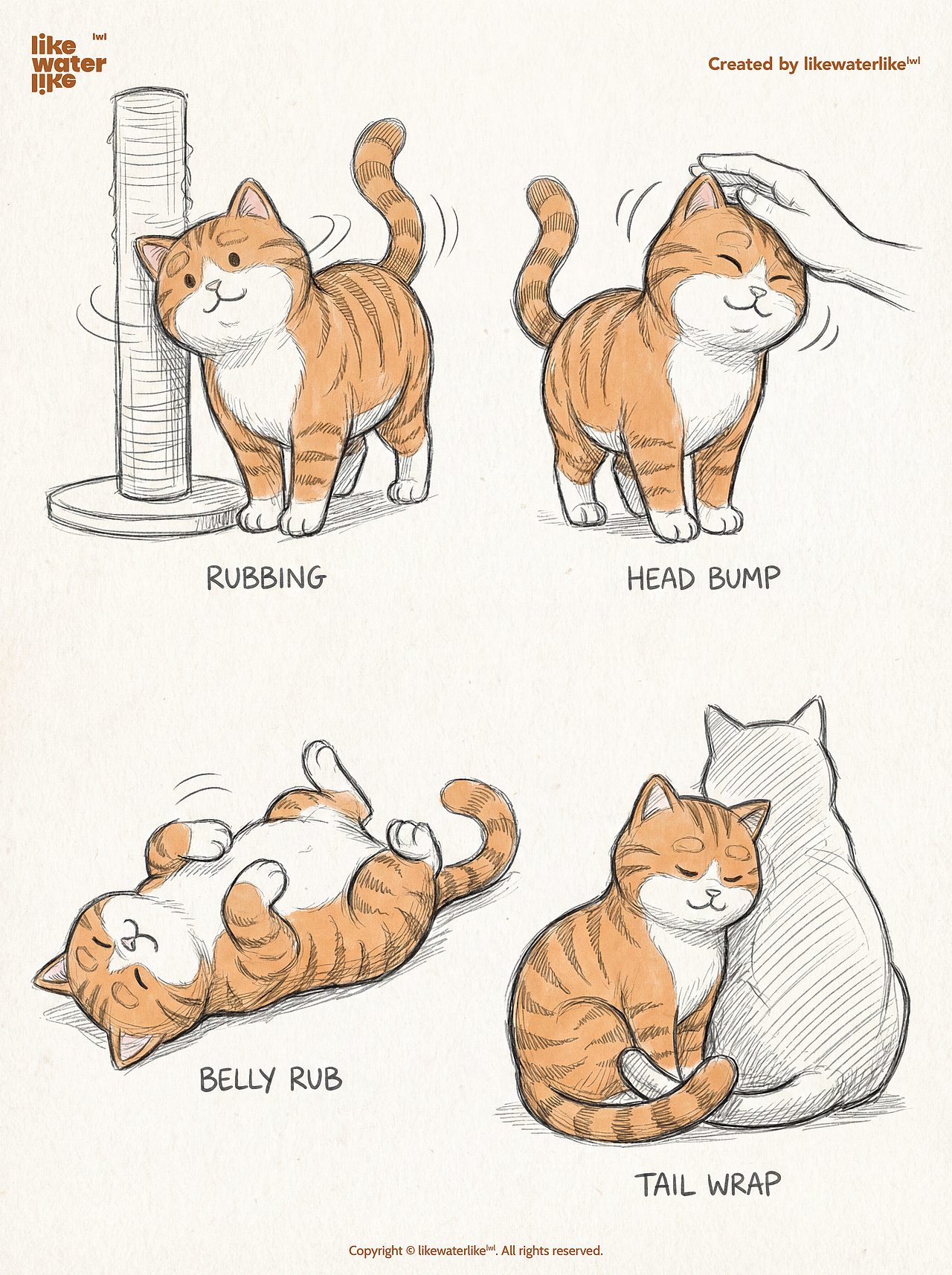 琥珀色的橘猫 | 设计手绘稿（图ZNDA1ODIzODQw） - 创作习作 - 站酷设计师likewaterlike原创素材 - 站酷ZCOOL