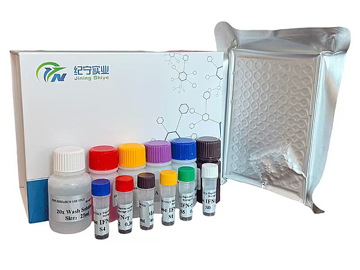 2026年3月頭部IL-6試劑盒生產(chǎn)廠家推薦，小鼠的elisa試劑盒，IL-6試（個人主頁-ZMTczOTE0OA==） - 工業(yè)/產(chǎn)品 - 站酷設(shè)計師Z061693463原創(chuàng)素材 - 站酷ZCOOL