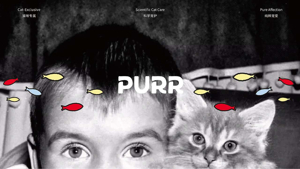 PURR 宠物食品品牌设计｜纯肉无添，专业透明（图ZNDA1ODQyMjky） - 品牌 - 站酷设计师Z919586789原创素材 - 站酷ZCOOL