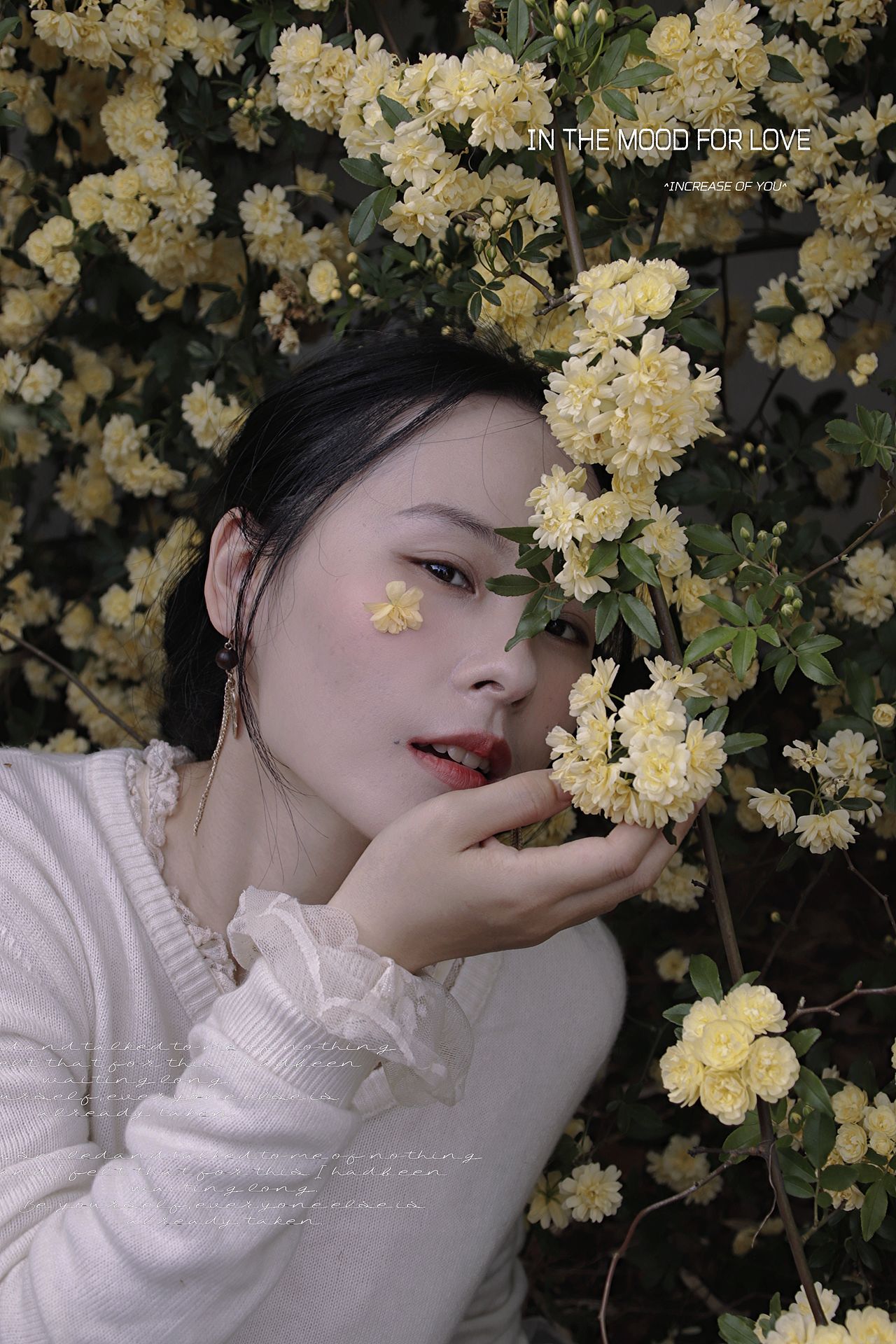 春日限定的“黄金瀑布”~（图ZNDA1ODU3MTIw） - 人像摄影 - 站酷设计师顾二七原创素材 - 站酷ZCOOL