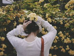 春日限定的“黄金瀑布”~