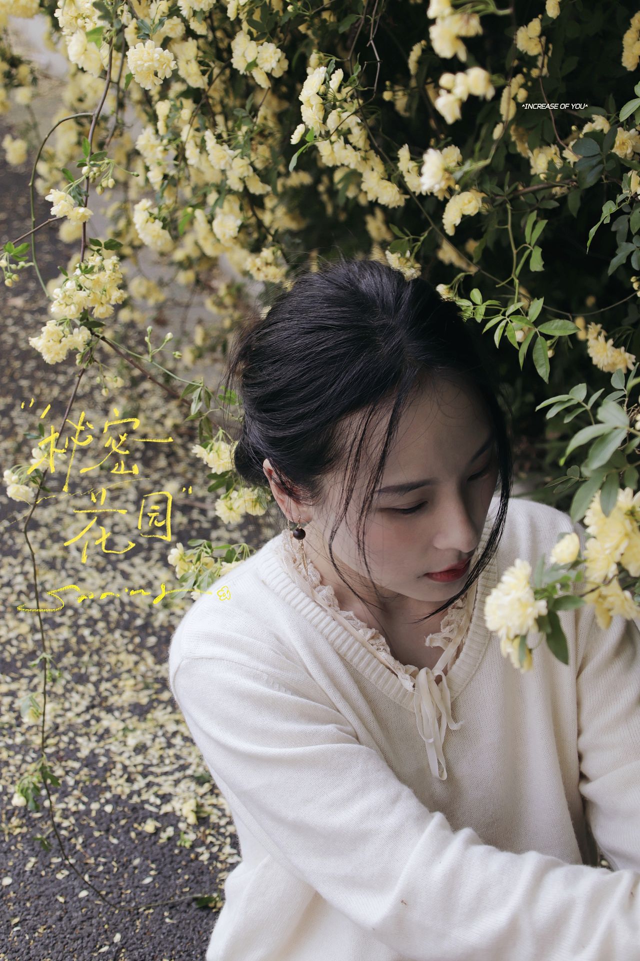 春日限定的“黄金瀑布”~（图ZNDA1ODU3MjAw） - 人像摄影 - 站酷设计师顾二七原创素材 - 站酷ZCOOL