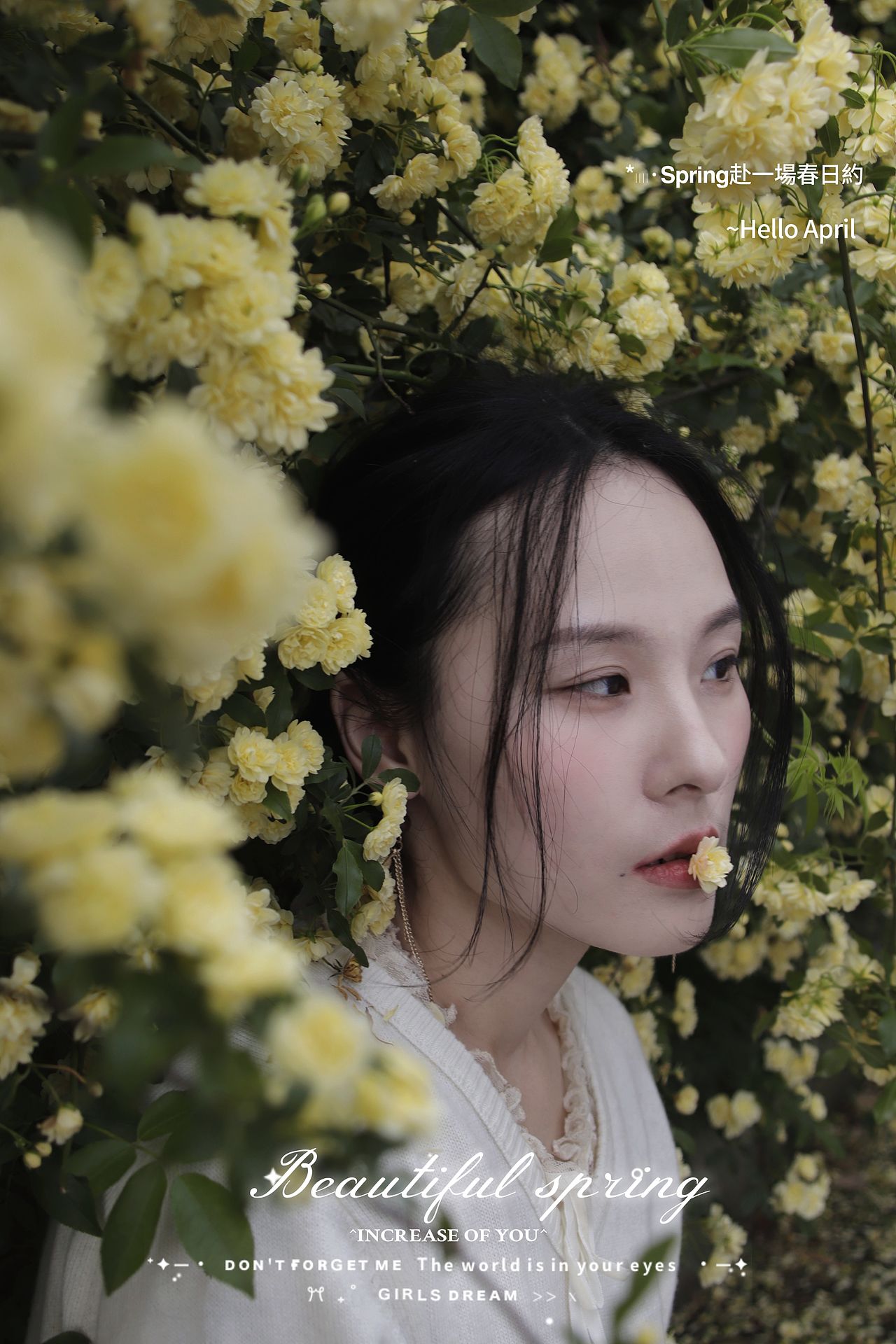 春日限定的“黄金瀑布”~（图ZNDA1ODU3MzA0） - 人像摄影 - 站酷设计师顾二七原创素材 - 站酷ZCOOL