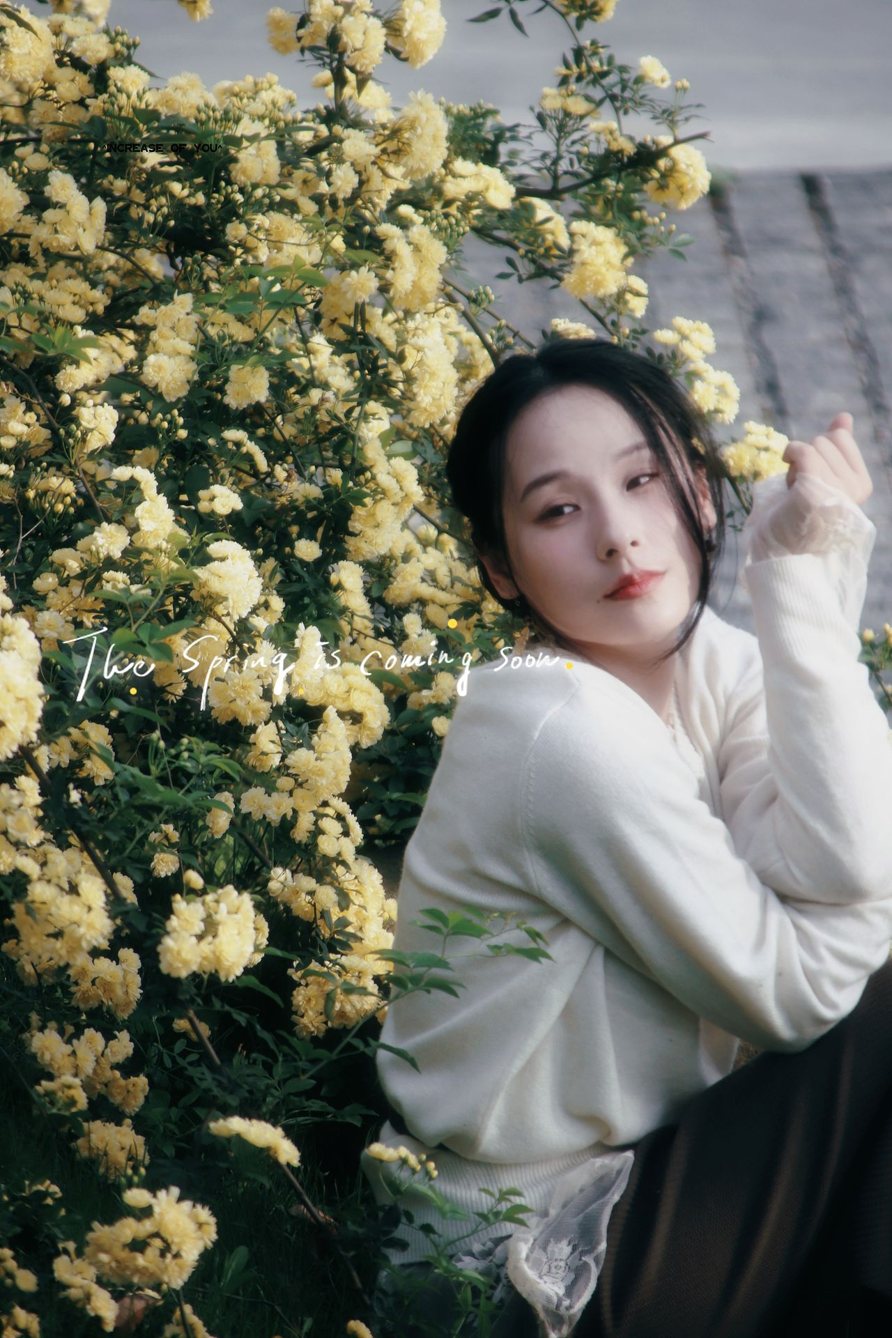 春日限定的“黄金瀑布”~（图ZNDA1ODU3NDEy） - 人像摄影 - 站酷设计师顾二七原创素材 - 站酷ZCOOL