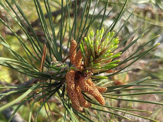 灵魂冲击，特写