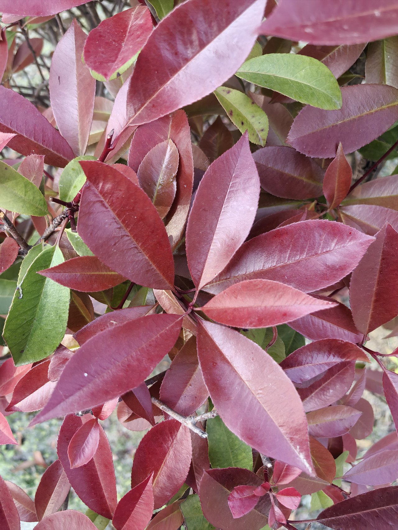 春天来了（图ZNDA1ODYwMjY0） - 风光摄影 - 站酷设计师油锅里跳舞的龙虾原创素材 - 站酷ZCOOL