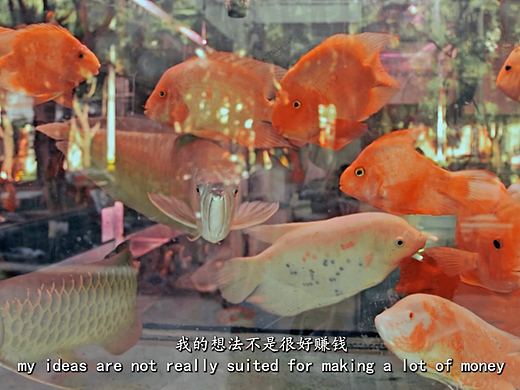 团队作品——纪录片《浮⽣⼀处》