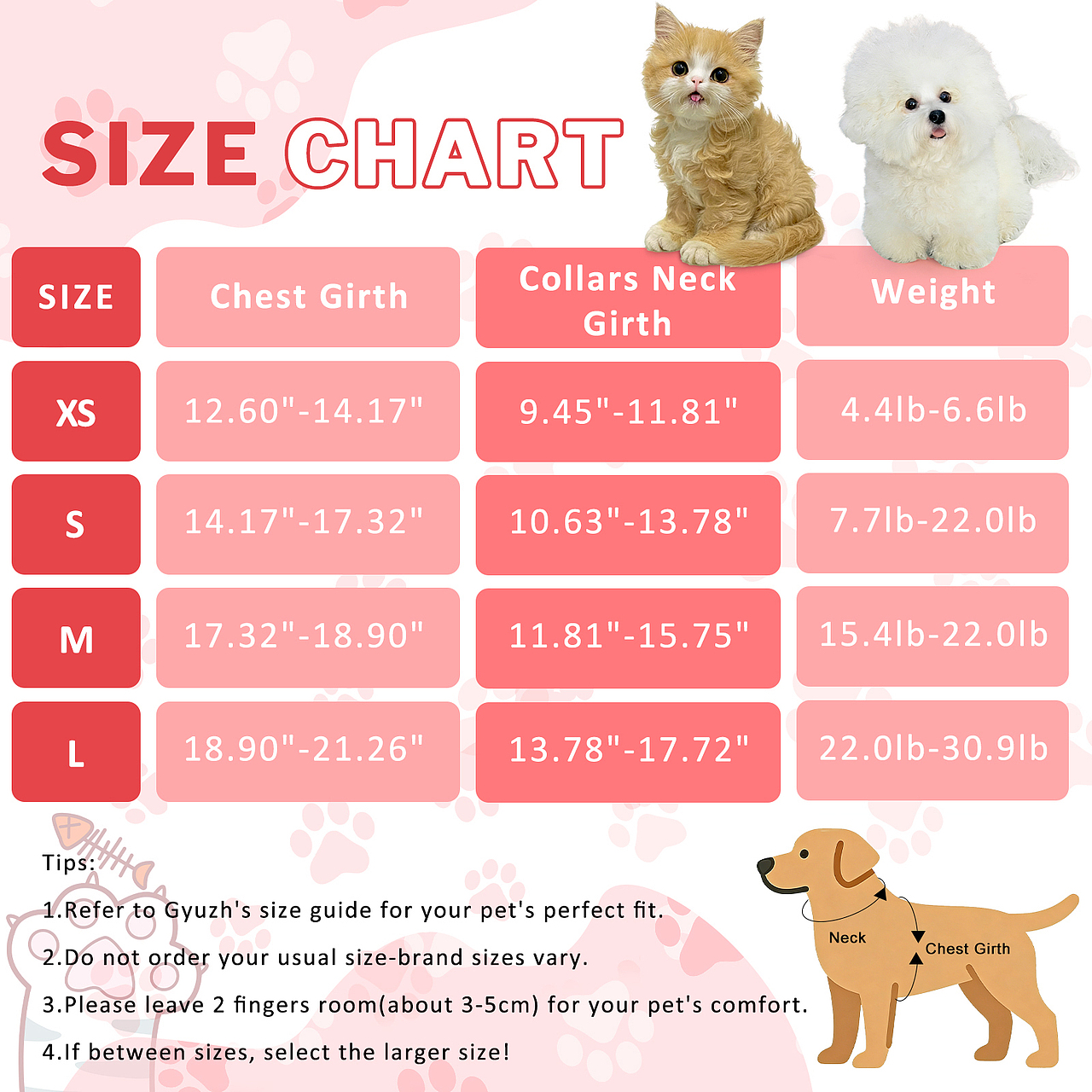 宠物套装（图ZNDA1OTEzMjYw） - 其他 - 站酷设计师小姐姐Avis原创素材 - 站酷ZCOOL