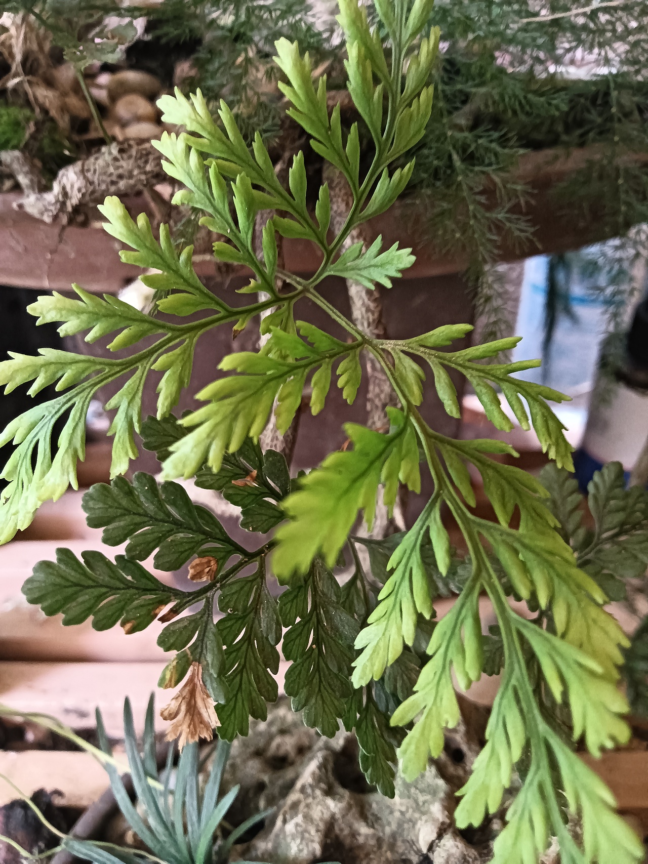 诗意生活美学——常驻人间（图ZNDA1OTMwMDY4） - 人文/纪实摄影 - 站酷设计师普兰堂999留古今D原创素材 - 站酷ZCOOL