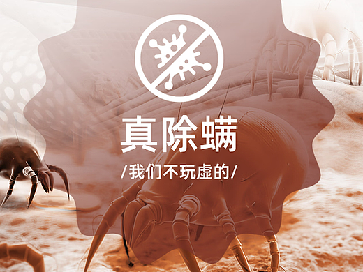 家用除螨仪怎么选不踩坑？除螨仪哪个品牌好一些？高质量除螨仪十大名牌排行榜！亲测