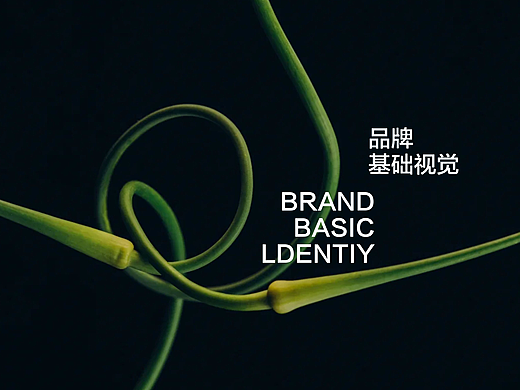 Ambré精油品牌全案