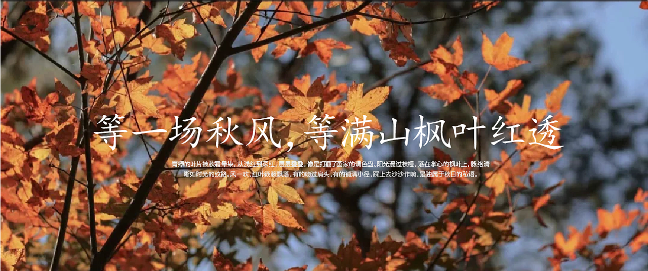 岭南三食记品牌全案（图ZNDA1OTU3MDQw） - 品牌 - 站酷设计师理想的爱原创素材 - 站酷ZCOOL