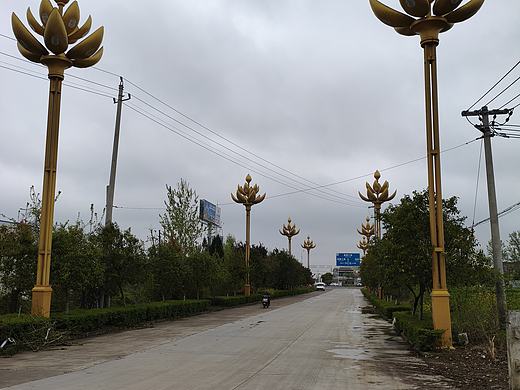 莲花景观路灯