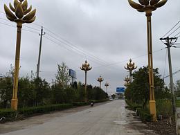 莲花景观路灯