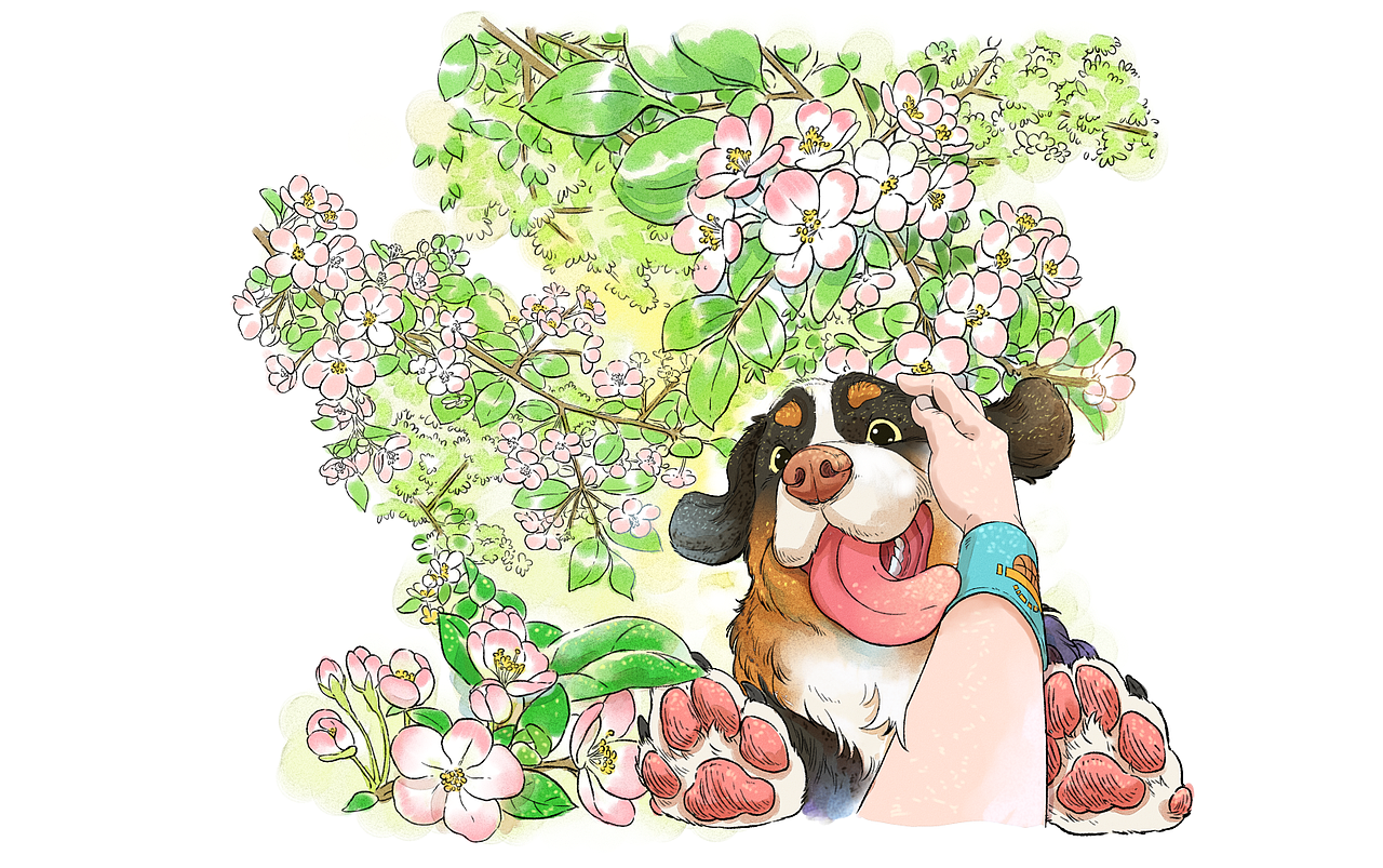 连载绘本插画·出游（每日更新02）（图ZNDA1OTg5MTIw） - 绘本 - 站酷设计师画画的蛮蛮原创素材 - 站酷ZCOOL