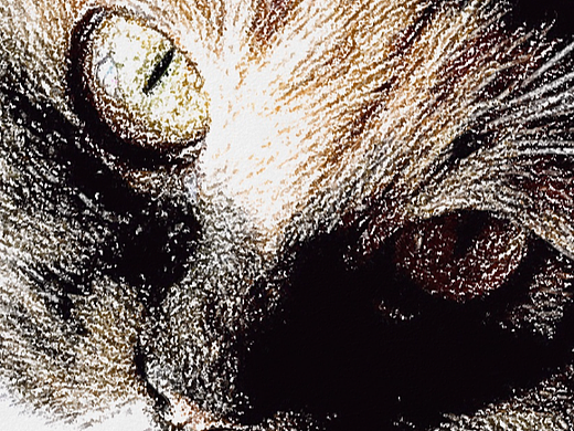 注视（个人主页-ZMTQ1MDUxMDg=） - 修图/后期 - 站酷设计师薛利莎原创素材 - 站酷ZCOOL