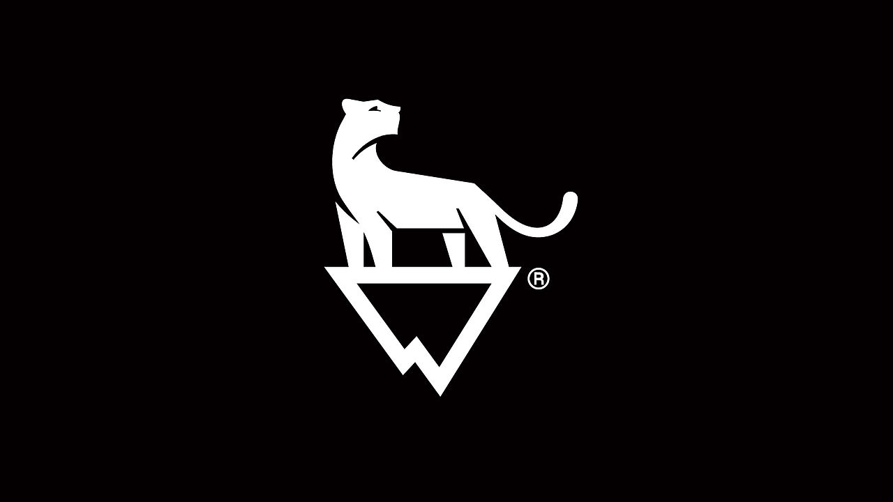 服装LOGO 服装logo设计 户外服装品牌设计 服装vi设计（图ZNDA2MDAzNjMy） - Logo - 站酷设计师洋光正好品牌设计原创素材 - 站酷ZCOOL