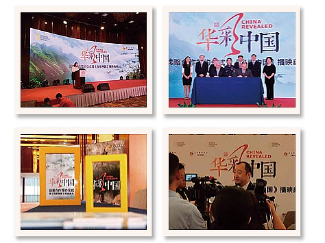 2026半闲谷品牌设计图集