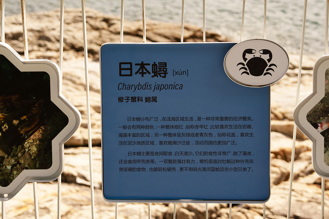 深圳市大梅沙海滨栈道生物多样性摄影展(图ZNDA2MDQyNDIw) - 宣传物料 - 站酷设计师tofu豆腐原创素材 - 站酷ZCOOL