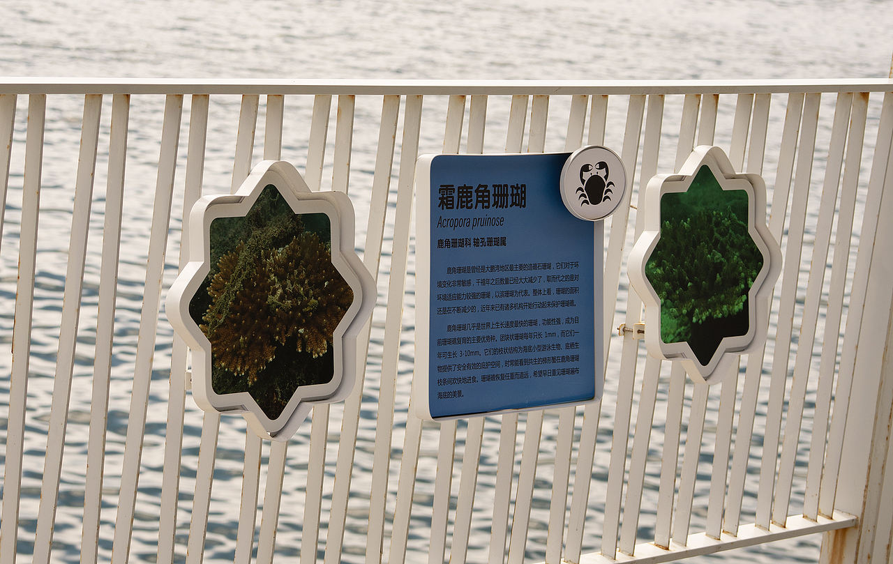 深圳市大梅沙海滨栈道生物多样性摄影展(图ZNDA2MDQyNjU2) - 宣传物料 - 站酷设计师tofu豆腐原创素材 - 站酷ZCOOL