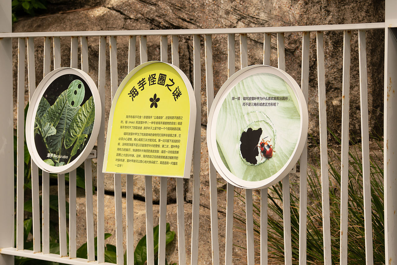 深圳市大梅沙海滨栈道生物多样性摄影展(图ZNDA2MDQyNjk2) - 宣传物料 - 站酷设计师tofu豆腐原创素材 - 站酷ZCOOL
