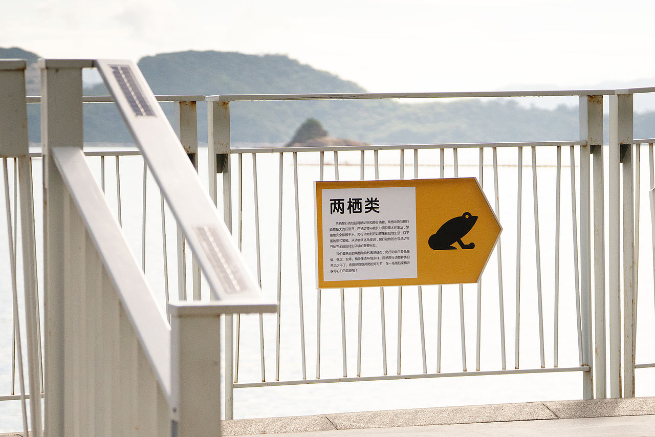 深圳市大梅沙海滨栈道生物多样性摄影展(图ZNDA2MDQyNzIw) - 宣传物料 - 站酷设计师tofu豆腐原创素材 - 站酷ZCOOL