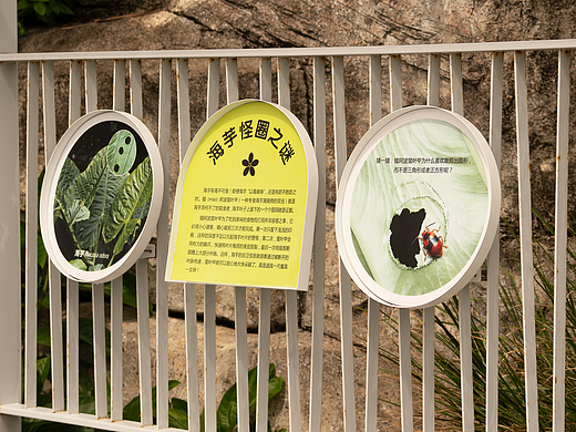深圳市大梅沙海滨栈道生物多样性摄影展