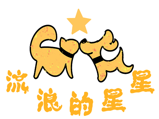 《流浪动物的治愈性视觉设计与实践》