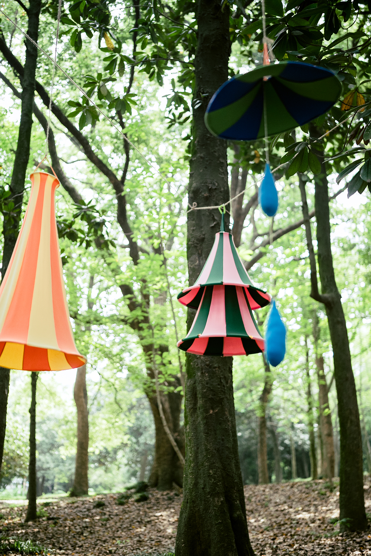 在森林里不期而遇（图ZNDA2MDc3MjU2） - 人像摄影 - 站酷设计师洪小漩原创素材 - 站酷ZCOOL