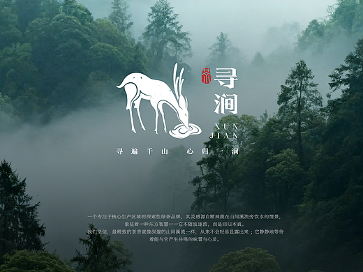 寻涧|茶品牌设计