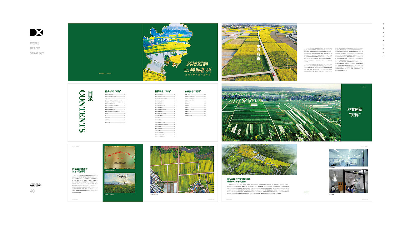 | 2024 | 工作汇总Dxdes.（图ZNDA2MTA5NDIw） - 其他平面 - 站酷设计师Dxdes原创素材 - 站酷ZCOOL